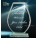 Business Awards Laser Graveren