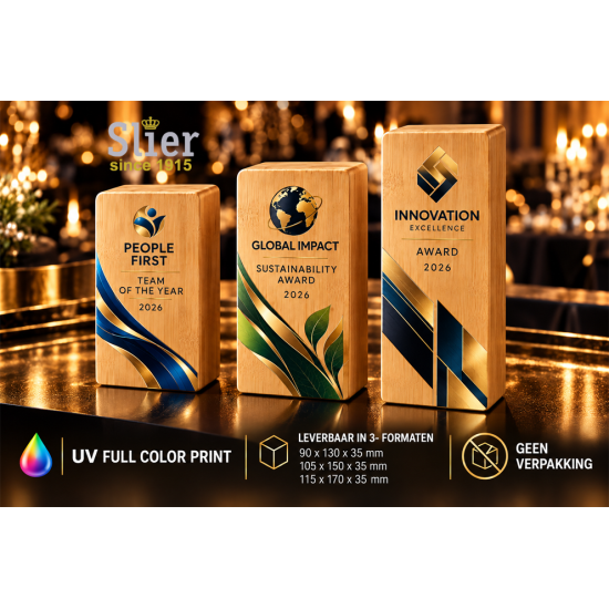 Business Awards Slier Sportprijzen Luxe Business Award van bamboe