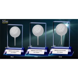 Davenport Golf Crystal Award 