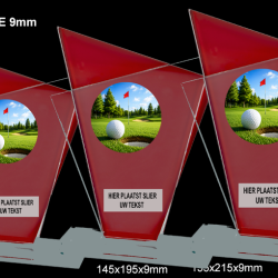Nickelson golf budget